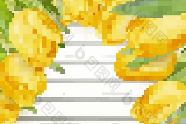 黄色的郁金香每股收益