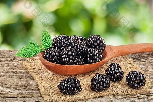 黑莓勺子木表格模糊花园背景