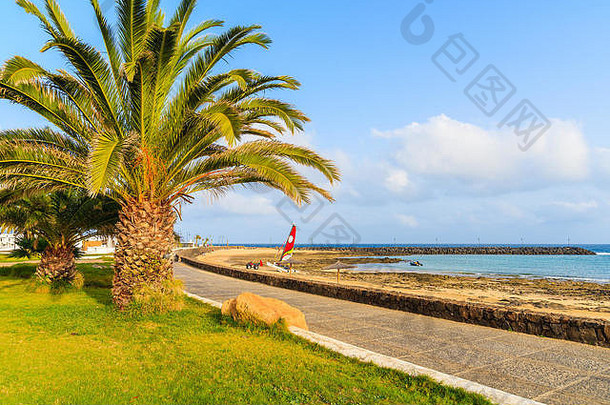 棕榈树沿海散步海滩科斯塔Teguise兰斯洛特金丝雀岛屿西班牙