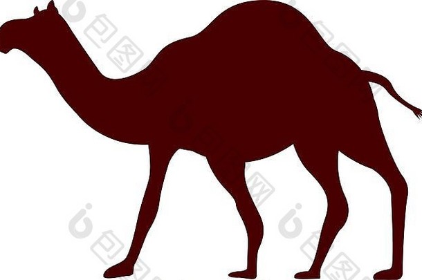 骆驼动物轮廓