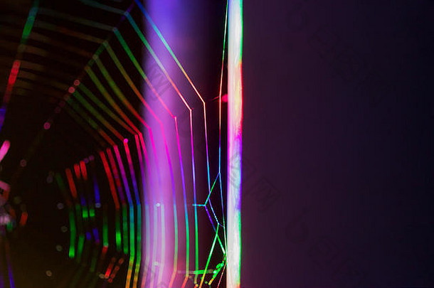明亮的超彩色的蜘蛛网络蜘蛛网黑暗背景技术背景概念霓虹灯照明复制空间