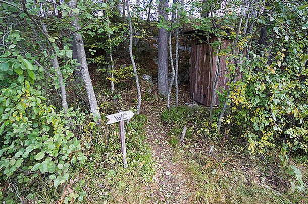 木厕所森林芬兰欧洲