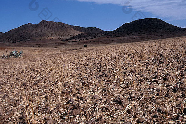 干旱景观下士加塔尼贾尔生物圈储备安达卢西亚西班牙