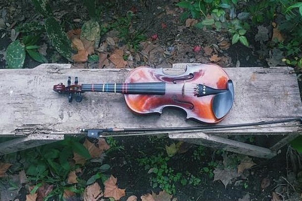 高角视图小提琴木板材