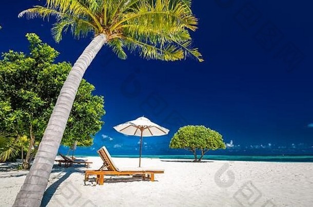热带天堂海滩白色沙子椰子树手掌旅行旅游景观奢侈品假期假期横幅热带海滩度假胜地概念