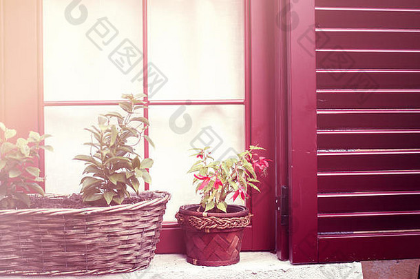 舒适的房子红色的木百叶窗锅花窗户