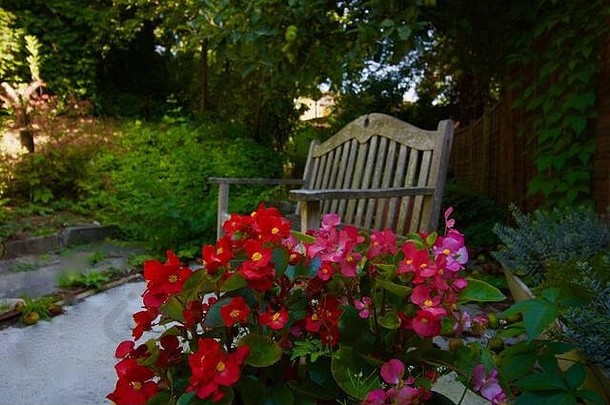 木花园板凳上花前景