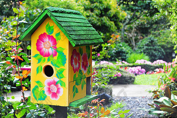 美丽的鸟房子郁郁葱葱的花园