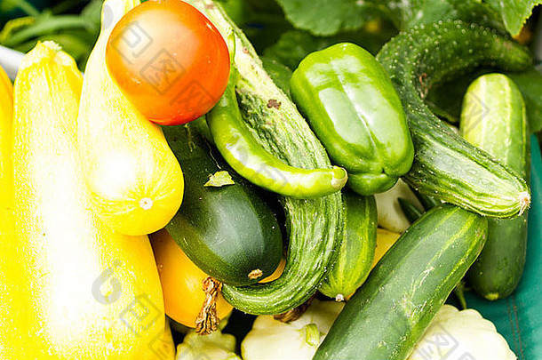新鲜的选择南瓜有机蔬菜<strong>花园</strong>