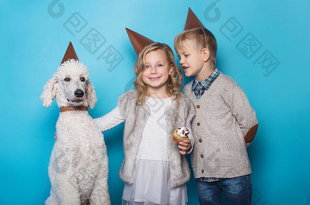 美丽的女孩英俊的男孩狗庆祝生日友谊家庭工作室肖像蓝色的背景