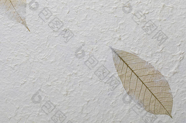 手工制作的纸纹理回收材料树叶子棉花纤维精致的清晰的香草音调