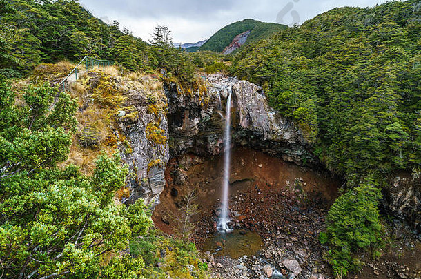 水瀑布森林王牌瀑布汤加里罗新西兰