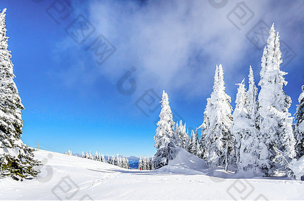 雪字段高高山滑雪区域村太阳山峰舒斯瓦普高地英国哥伦比亚西方加拿大