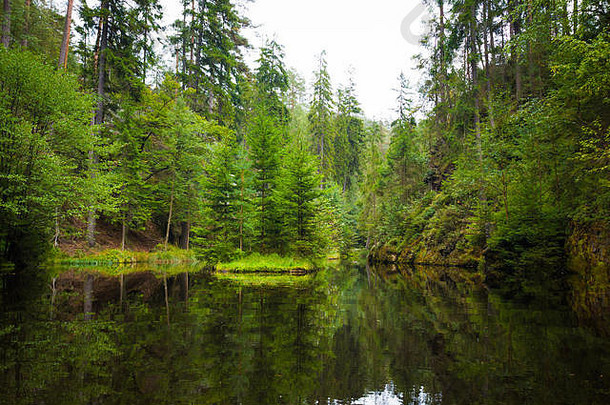 反射森林小湖岩石山阿德斯帕斯克鳞片捷克共和国