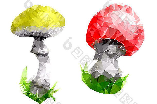 蘑菇三角摘要设计孤立的白色