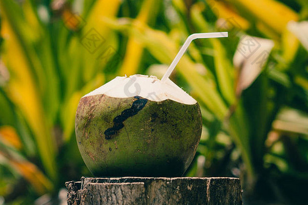 特写镜头图片开放椰子稻草喝牛奶水斐斐岛泰国