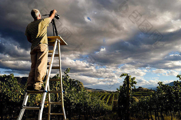 高级成人男人。拍摄风景优美的葡萄园奈拉马塔英国哥伦比亚加拿大位于欧垦那根谷