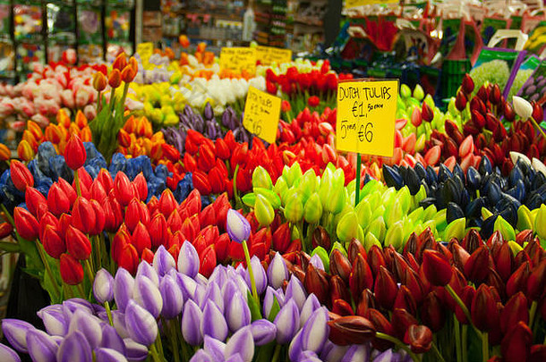 色彩斑斓的荷兰郁金香花市场阿姆斯特丹荷兰
