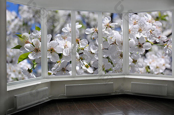 窗口阳台俯瞰花园开花樱桃树
