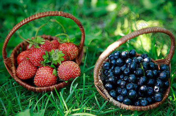 篮子草莓蓝莓
