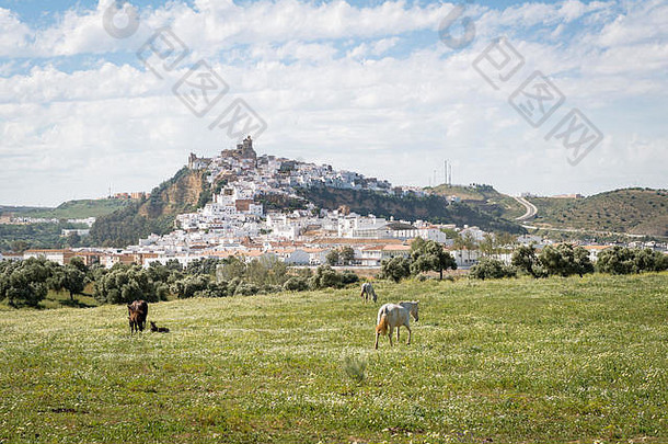 田园视图拱门边界场马白色村庄安达卢西亚西班牙欧洲