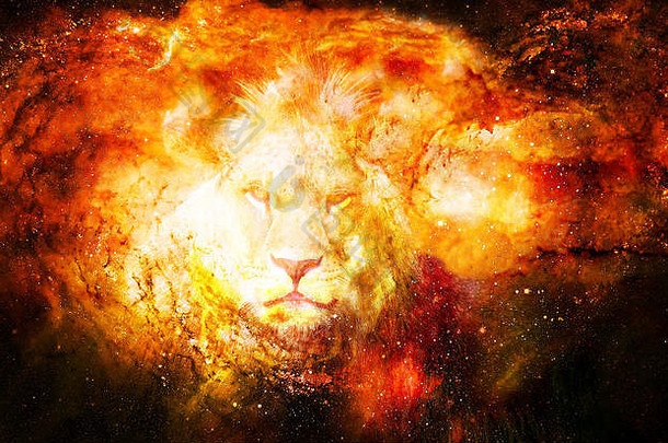 狮子宇宙空间狮子照片图形效果