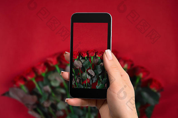 特写镜头女人准备使照片移动电话花束玫瑰红色的背景