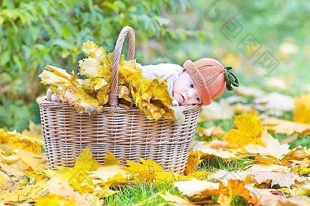 可爱的新生儿婴儿篮子完整的黄色的枫木叶子公园