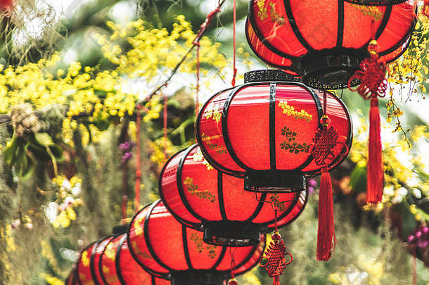 中国人月球一年红色的灯笼装饰