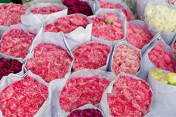 康乃馨出售花市场曼谷泰国