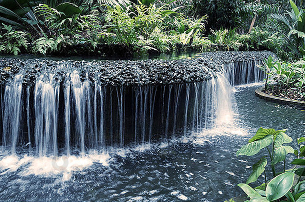 新鲜的人工水级联热带雨林周围的环境singapore’s植物花园