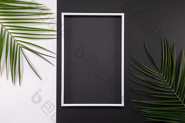 框架热带棕榈叶子黑色的白色背景平躺前视图复制空间夏天背景自然有创意的框架背景