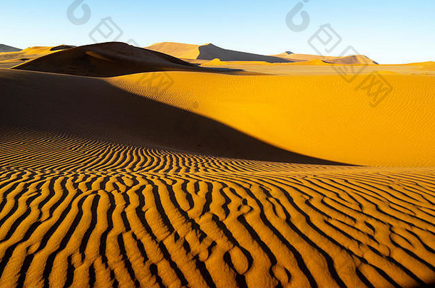 长风形成涟漪影子定义边缘沙丘沙丘脊隐藏的奉承索苏斯弗利纳米比亚