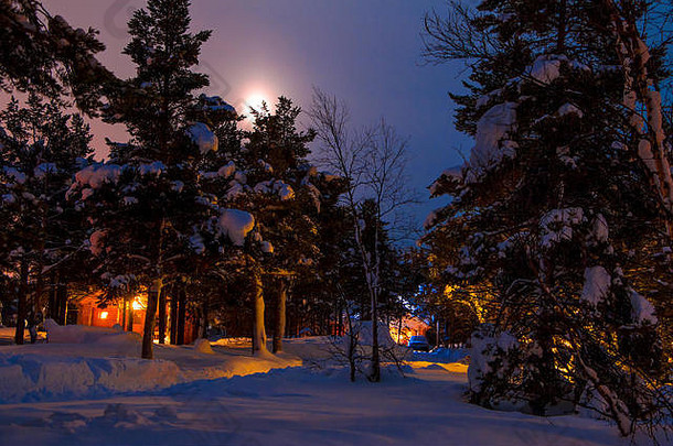 车野营冬天森林很多雪晚上照明月亮有雾的天空