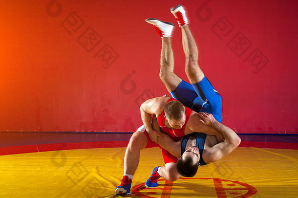 强大的摔跤手蓝色的红色的摔跤连裤袜wrestlng使后拉抱摔跤黄色的摔跤地毯健身房年轻的男人。
