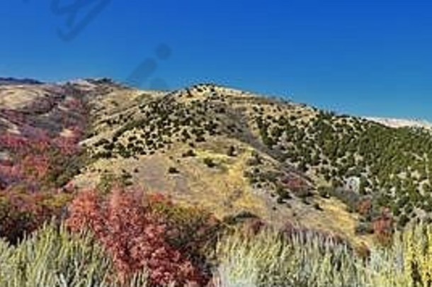 徒步旅行小径oquirrh瓦萨奇岩石山犹他州晚些时候秋天叶子全景森林的观点徒步旅行骑自行车马背上的树