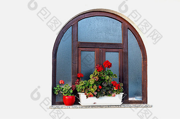 圆形的木框架窗口红色的天竺葵花锅白色墙