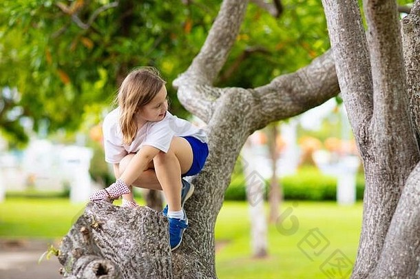 孩子们爬树夏天公园孩子攀爬冒险年轻的资源管理器孩子们探索自然阳光明媚的森林健康的户外活动