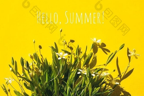 精致的花束花黄色的背景平躺夏天概念