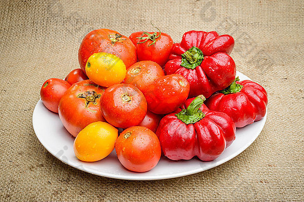 混合新鲜的西红柿贝尔辣椒厨房花园