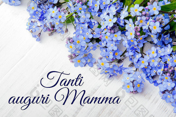 母亲的一天卡意大利单词快乐母亲的一天蓝色的花框架白色木背景