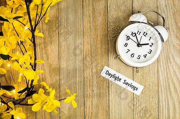 日光储蓄时间春天概念前视图白色时钟黄色的连翘花木董事会