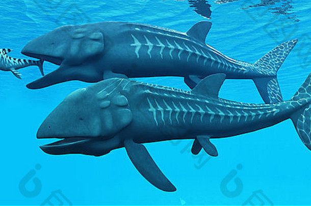 leedsichthys巨大的已经灭绝的鱼侏罗纪海洋吞下鱼龙海洋爬行动物