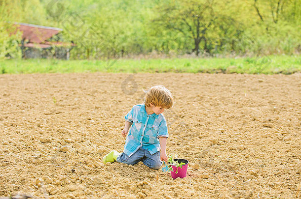 农业农业地球一天生活夏天农场快乐孩子园丁植物工人春天季节生态环境保护小孩子种植花工作激情