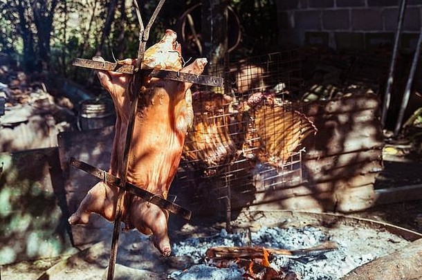 传统的乳臭未干的小子猪煮熟的木炭烧烤猪烤开放火有机猪随地吐痰