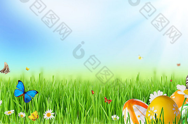 新鲜的春天草地复活节鸡蛋蝴蝶