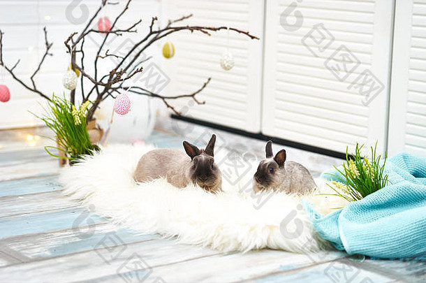 兔子复活节装饰