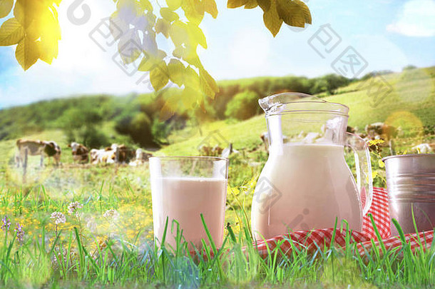 玻璃容器填满牛奶桌布草乳制品牛背景阳光明媚的草地水平作文