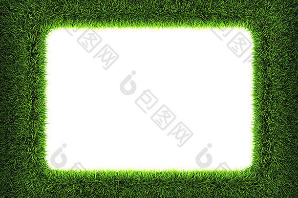 新鲜的绿色草框架孤立的白色背景渲染