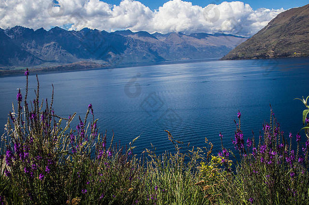 湖包围山湖瓦卡蒂普访问新西兰昆斯敦